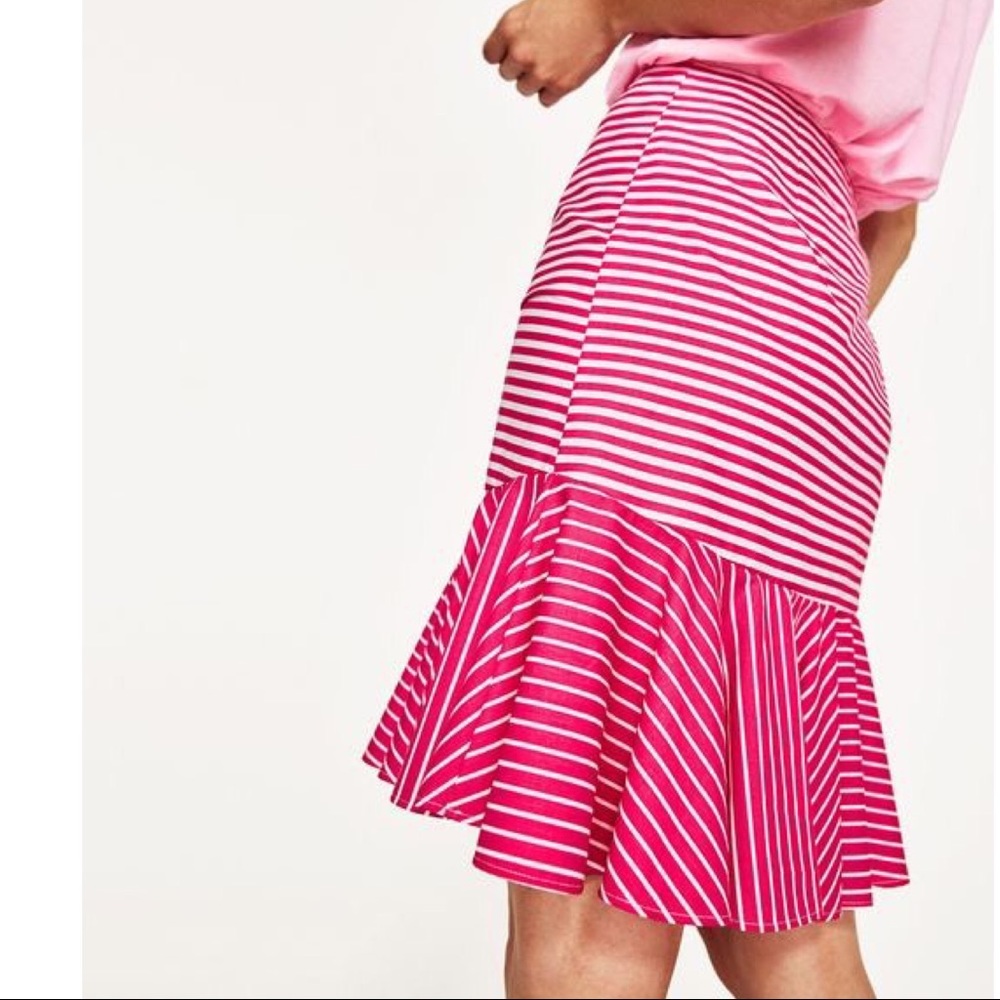 Zara Fit & Flare Stripe Printed Fuchsia Skirt - Picture 4 of 8